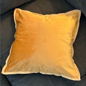 Pillow Perfect Velvet Flange Loden Throw Pillow Cover Umber Gold